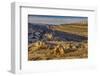 Strike Valley Outlook, Escalante, Utah-John Ford-Framed Photographic Print