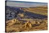 Strike Valley Outlook, Escalante, Utah-John Ford-Stretched Canvas