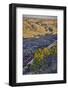 Strike Valley Outlook, Escalante, Utah-John Ford-Framed Photographic Print