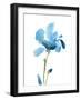 Striking Blue Iris IV-Jacob Green-Framed Art Print