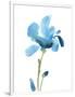 Striking Blue Iris IV-Jacob Green-Framed Art Print