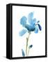 Striking Blue Iris IV-Jacob Green-Framed Stretched Canvas