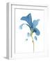 Striking Blue Iris V-Jacob Green-Framed Art Print