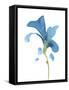 Striking Blue Iris V-Jacob Green-Framed Stretched Canvas