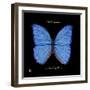 Striking Butterfly I-Ginny Joyner-Framed Art Print