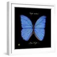 Striking Butterfly I-Ginny Joyner-Framed Art Print