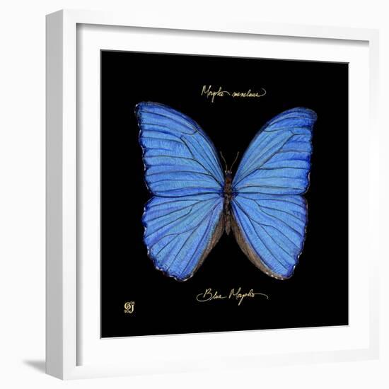 Striking Butterfly I-Ginny Joyner-Framed Art Print