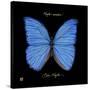 Striking Butterfly I-Ginny Joyner-Stretched Canvas