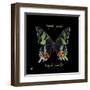 Striking Butterfly II-Ginny Joyner-Framed Art Print