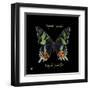 Striking Butterfly II-Ginny Joyner-Framed Art Print