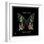 Striking Butterfly II-Ginny Joyner-Framed Art Print