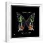 Striking Butterfly II-Ginny Joyner-Framed Art Print