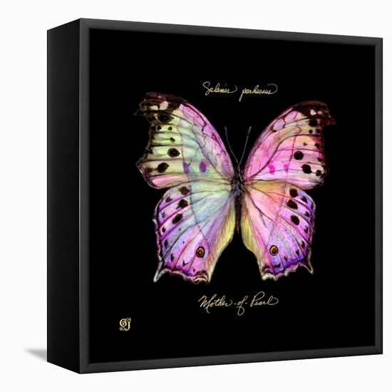 Striking Butterfly III-Ginny Joyner-Framed Stretched Canvas