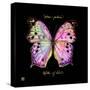 Striking Butterfly III-Ginny Joyner-Stretched Canvas