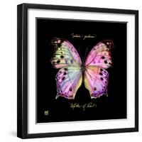 Striking Butterfly III-Ginny Joyner-Framed Art Print