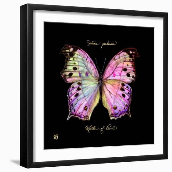 Striking Butterfly III-Ginny Joyner-Framed Art Print
