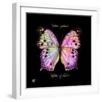 Striking Butterfly III-Ginny Joyner-Framed Art Print