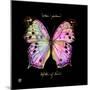Striking Butterfly III-Ginny Joyner-Mounted Art Print