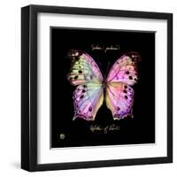 Striking Butterfly III-Ginny Joyner-Framed Art Print