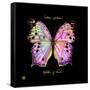 Striking Butterfly III-Ginny Joyner-Framed Stretched Canvas