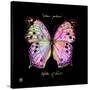 Striking Butterfly III-Ginny Joyner-Stretched Canvas