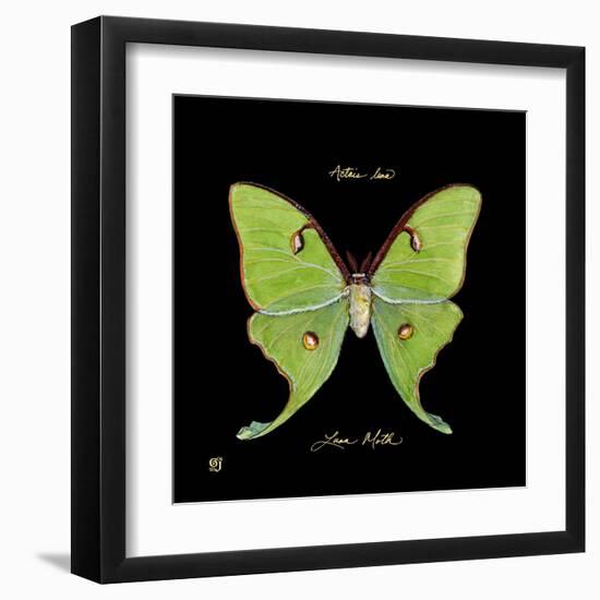 Striking Butterfly IV-Ginny Joyner-Framed Art Print