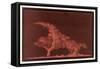 Striking Display of Solar Flares-Littrow Wunder-Framed Stretched Canvas