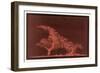 Striking Display of Solar Flares-Littrow Wunder-Framed Art Print