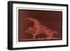 Striking Display of Solar Flares-Littrow Wunder-Framed Art Print