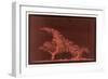 Striking Display of Solar Flares-Littrow Wunder-Framed Art Print