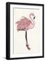 Striking Flamingo I-Naomi McCavitt-Framed Art Print