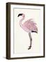 Striking Flamingo II-Naomi McCavitt-Framed Art Print