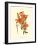 Striking Lilies II-Edward Step-Framed Art Print