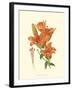 Striking Lilies II-Edward Step-Framed Art Print