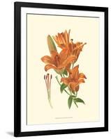 Striking Lilies II-Edward Step-Framed Art Print