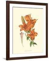 Striking Lilies II-Edward Step-Framed Art Print