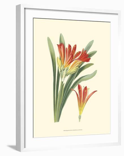 Striking Lilies III-Edward Step-Framed Art Print