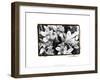 Striking Orchids III-Laura Denardo-Framed Art Print