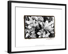 Striking Orchids III-Laura Denardo-Framed Art Print