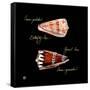 Striking Shells III-Ginny Joyner-Framed Stretched Canvas