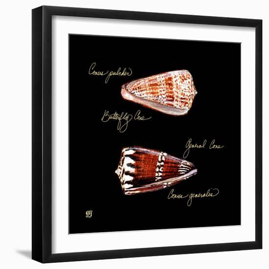 Striking Shells III-Ginny Joyner-Framed Art Print