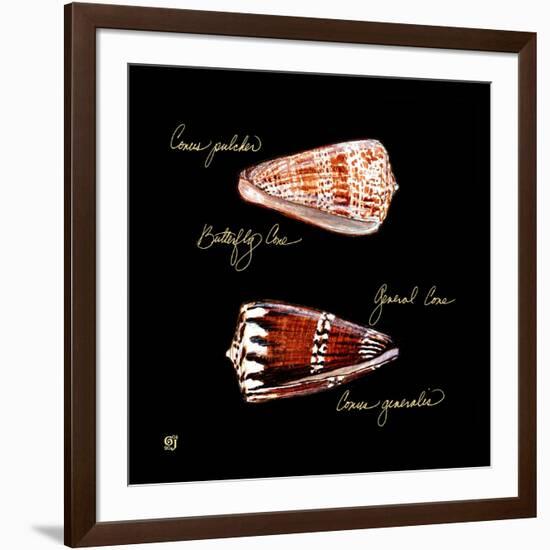 Striking Shells III-Ginny Joyner-Framed Art Print