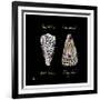 Striking Shells IV-Ginny Joyner-Framed Art Print