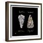 Striking Shells IV-Ginny Joyner-Framed Art Print