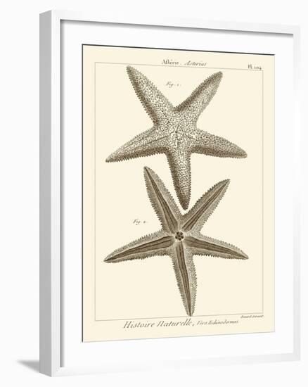 Striking Starfish I-Vision Studio-Framed Art Print