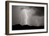 Striking Symmetry II BW-Douglas Taylor-Framed Photographic Print