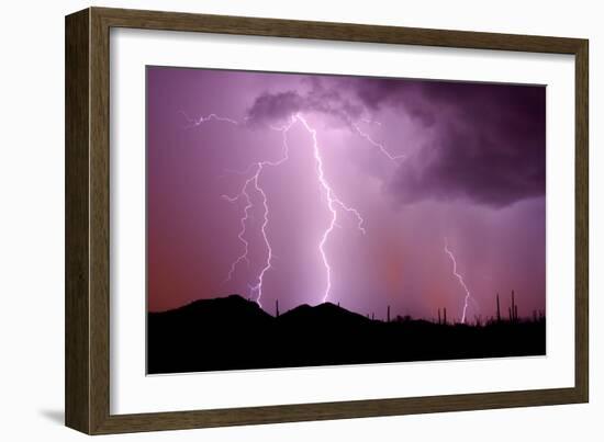 Striking Symmetry II-Douglas Taylor-Framed Photographic Print