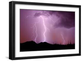 Striking Symmetry II-Douglas Taylor-Framed Photographic Print