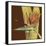 Striking Tropical II-Jennifer Goldberger-Framed Stretched Canvas