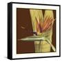 Striking Tropical II-Jennifer Goldberger-Framed Stretched Canvas